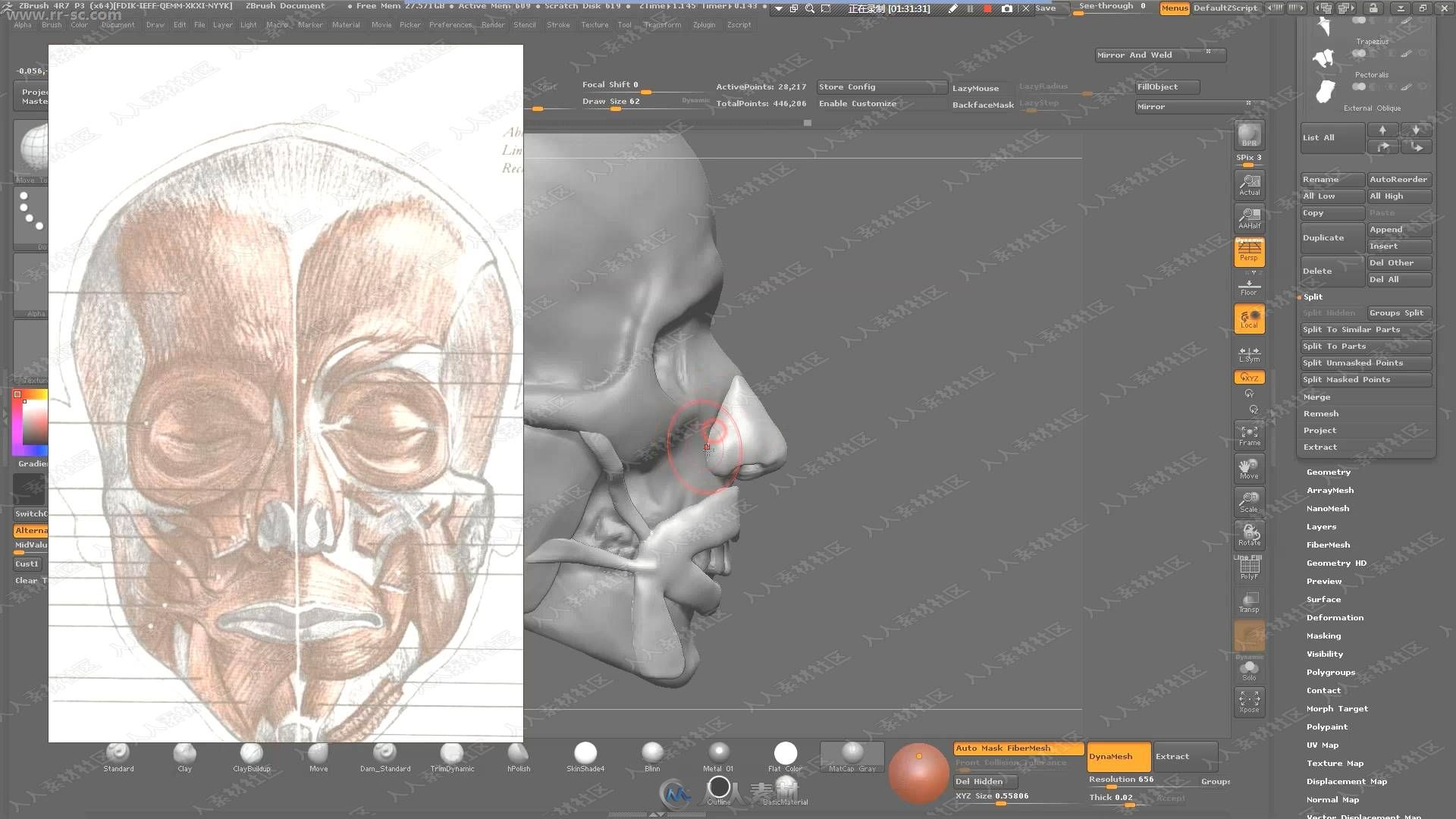 罗其胜ZBrush人体头骨建模雕刻基础视频教程