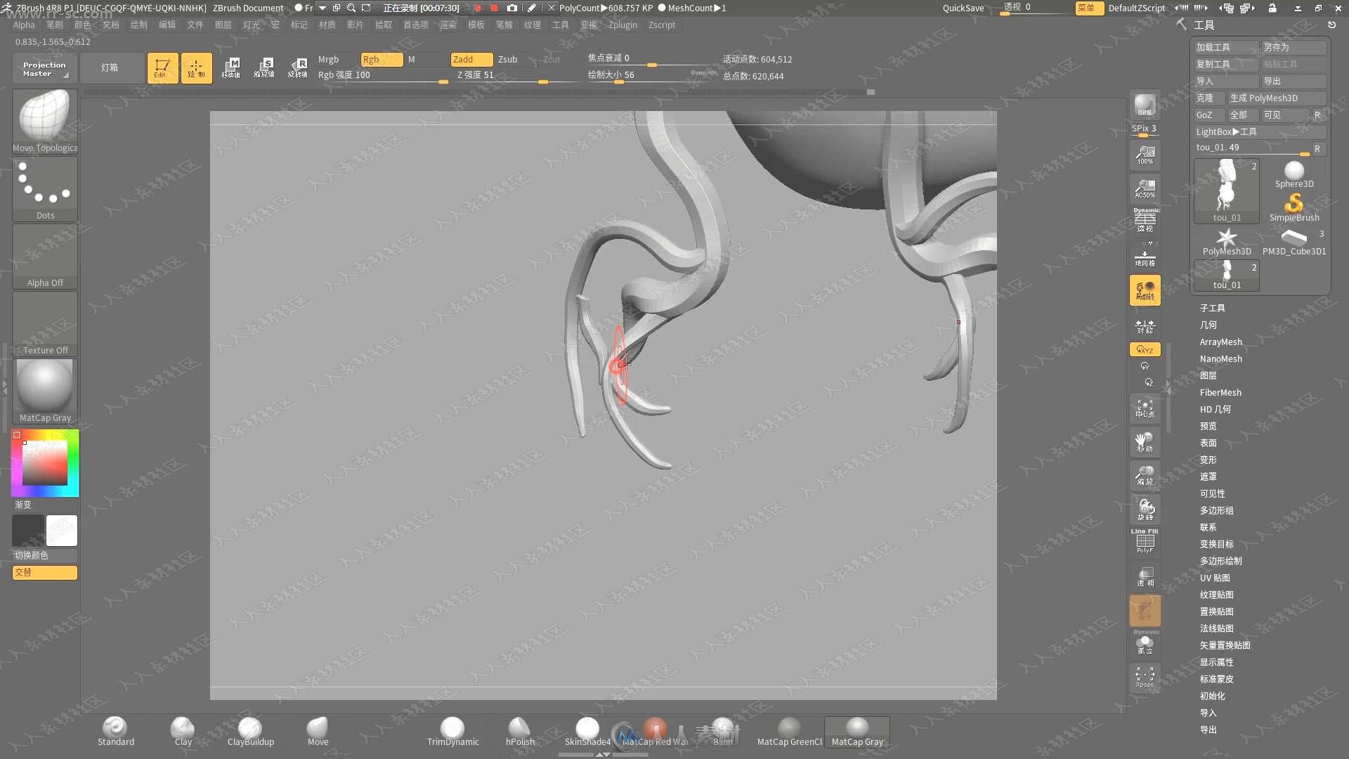 罗其胜ZBrush人体头骨建模雕刻基础视频教程