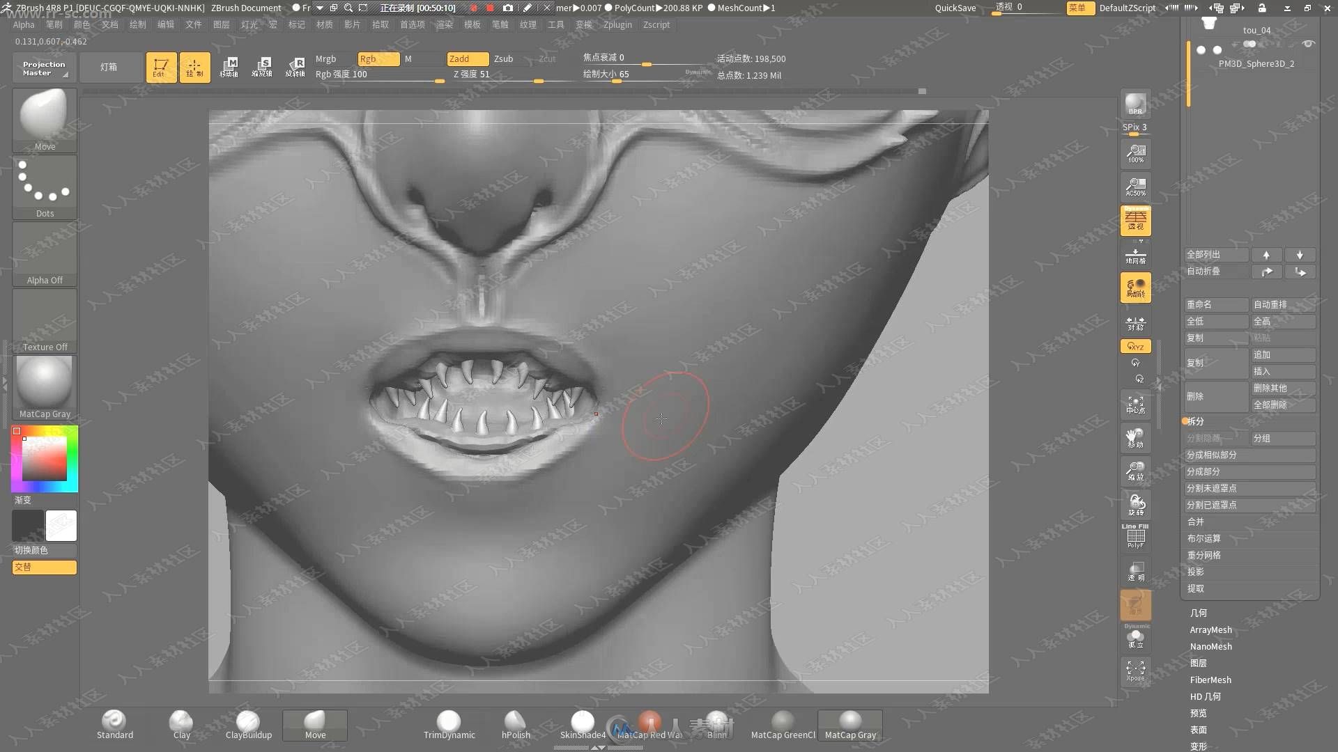 罗其胜ZBrush人体头骨建模雕刻基础视频教程