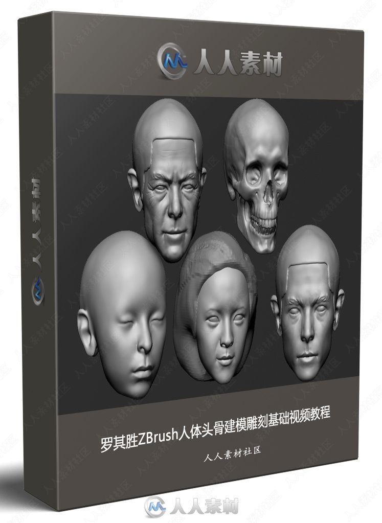 罗其胜ZBrush人体头骨建模雕刻基础视频教程