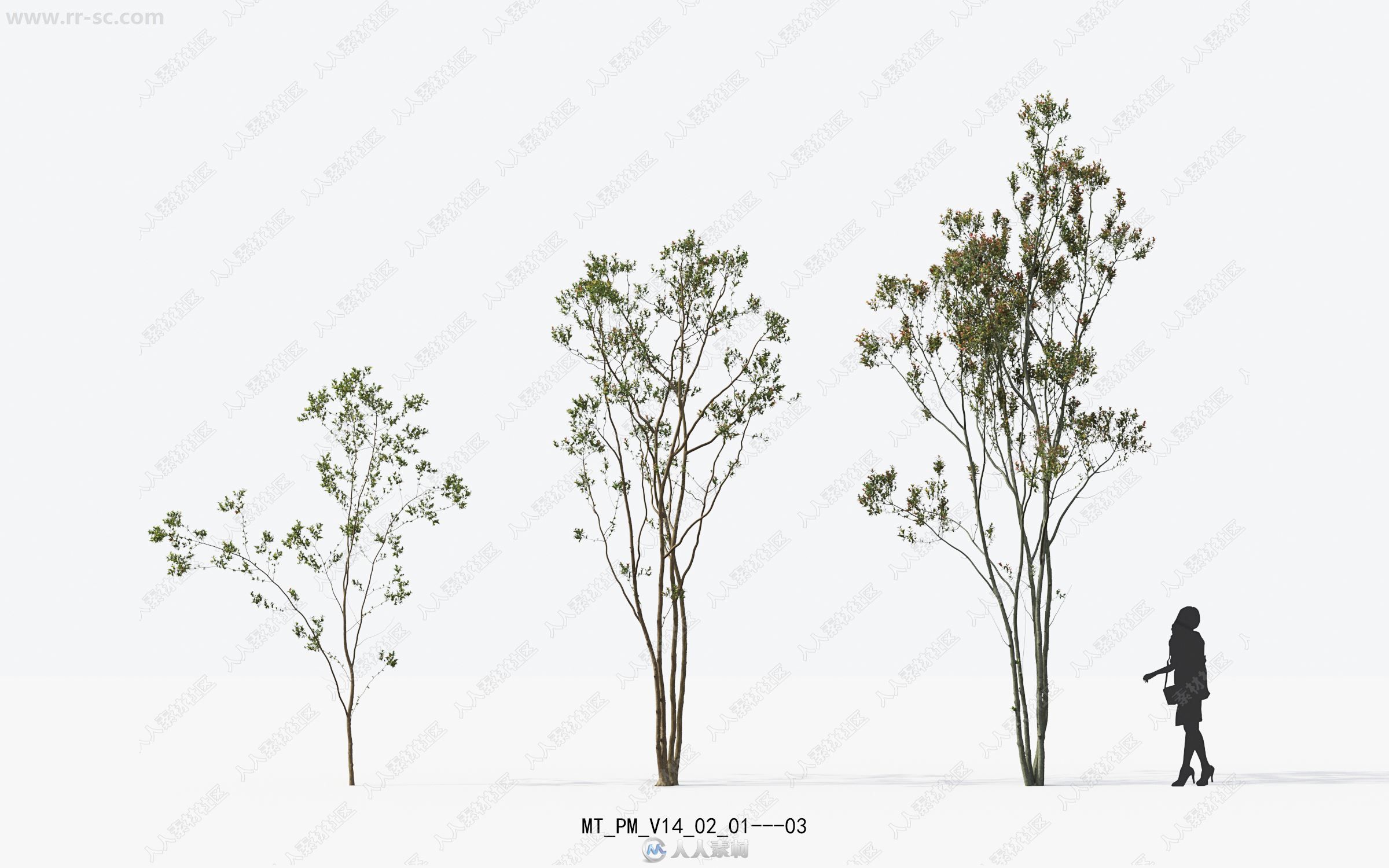 16种高精度植物树木建筑可视化3D模型合集