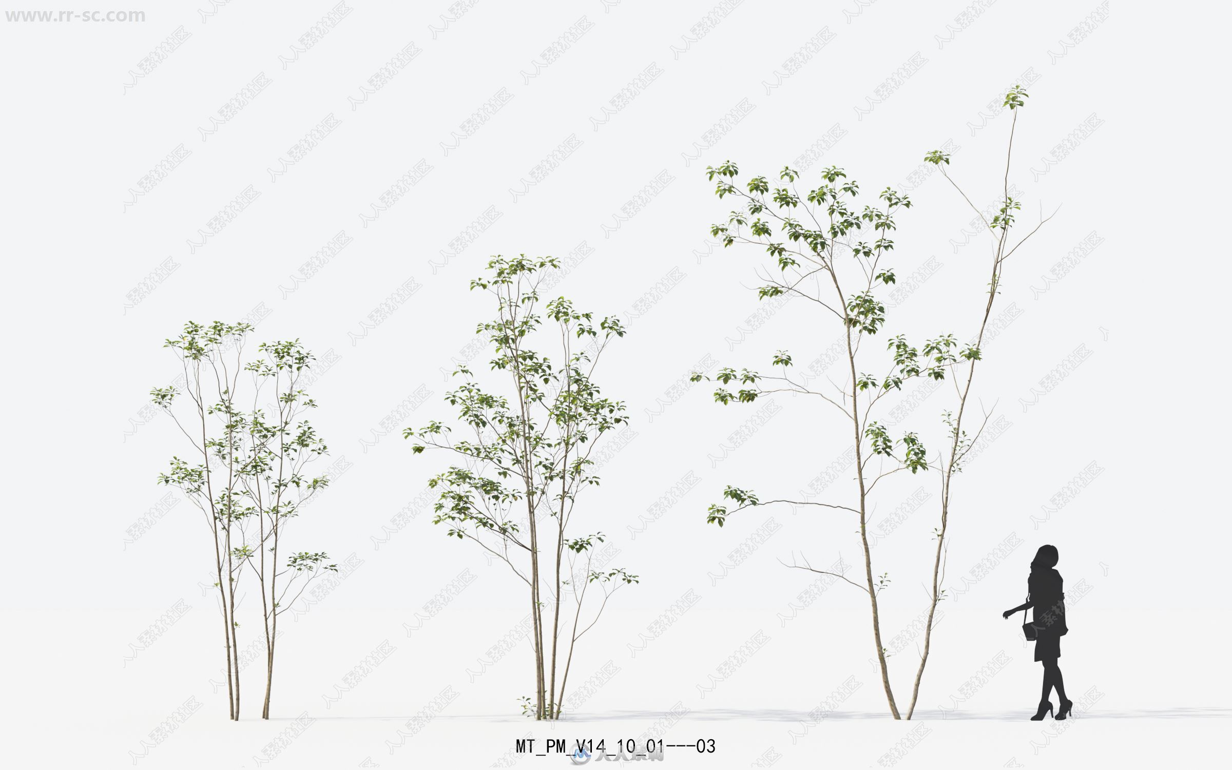 16种高精度植物树木建筑可视化3D模型合集