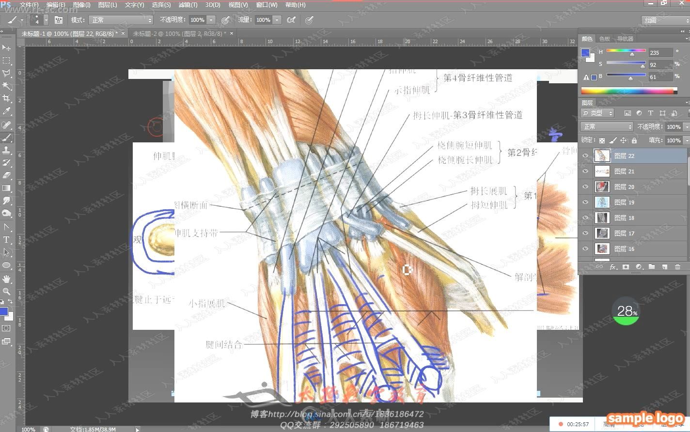 Zbrush大师级人体解刨分解雕刻中文教程下