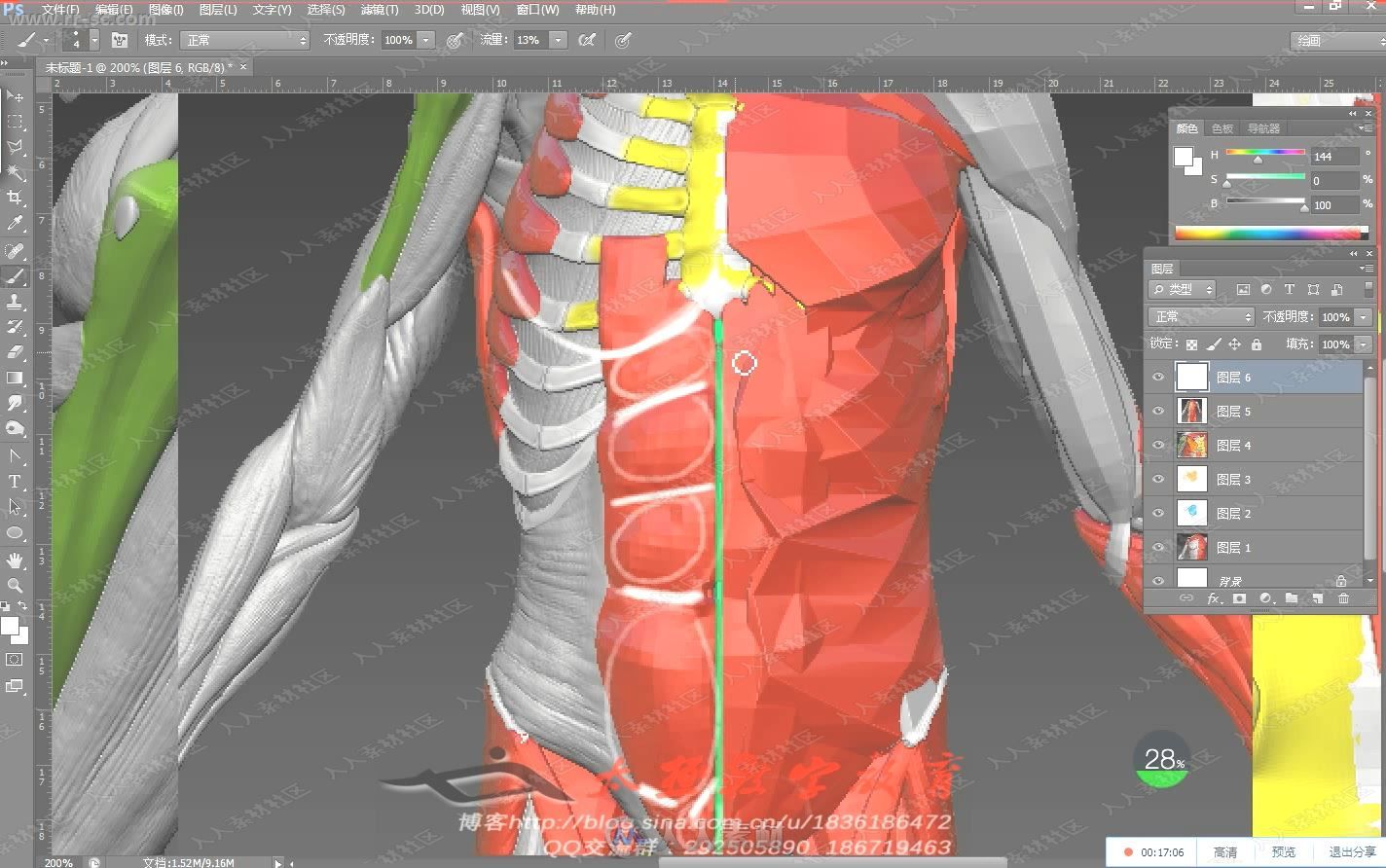 Zbrush大师级人体解刨分解雕刻中文教程下