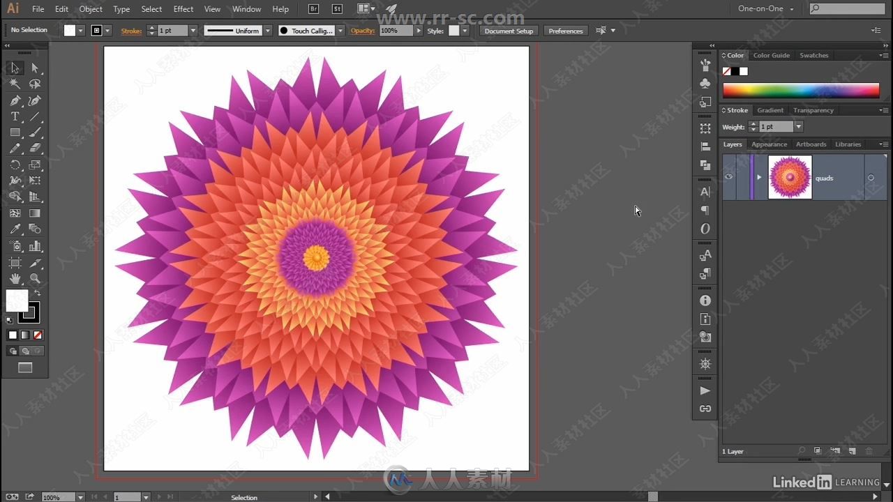 Illustrator CC 2019一对一基础技能训练视频教程