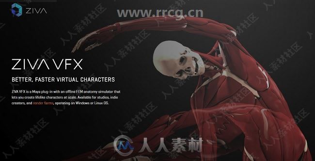 Ziva Dynamics Ziva VFX骨骼肌肉运动模拟Maya插件V1.6.619版