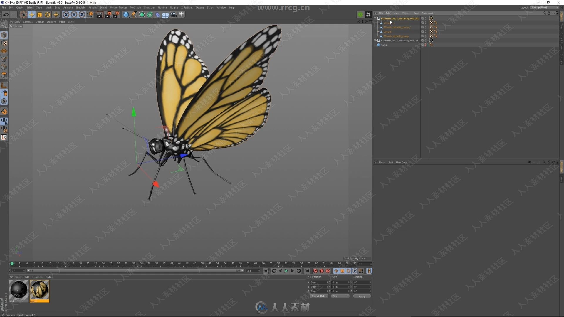 透明蝴蝶躯体概念设计全流程实例训练视频教程