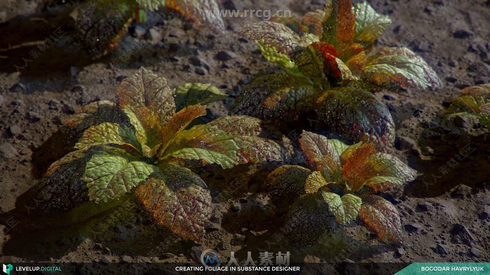 Substance Designer树叶植物纹理贴图制作视频教程