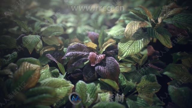 Substance Designer树叶植物纹理贴图制作视频教程