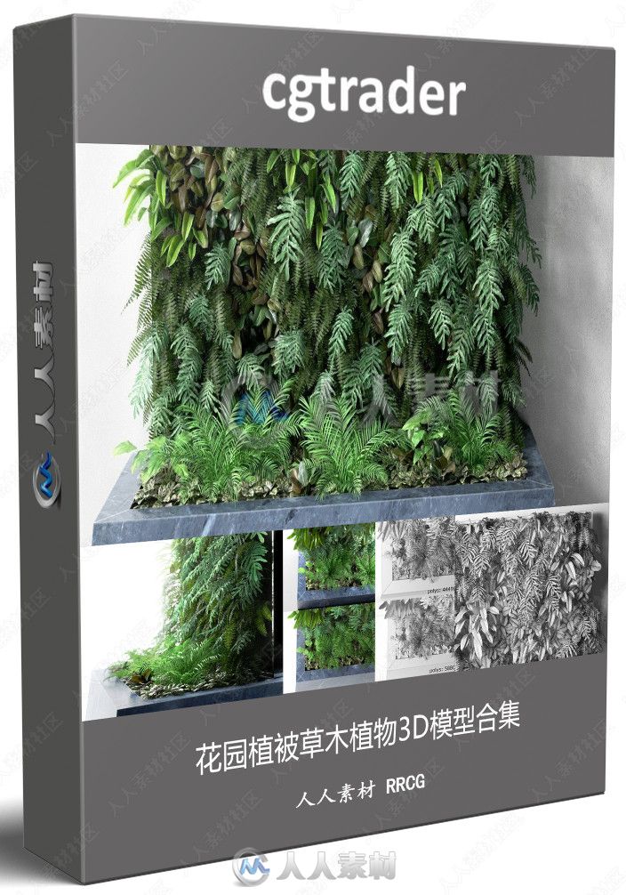 花园植被草木植物3D模型合集