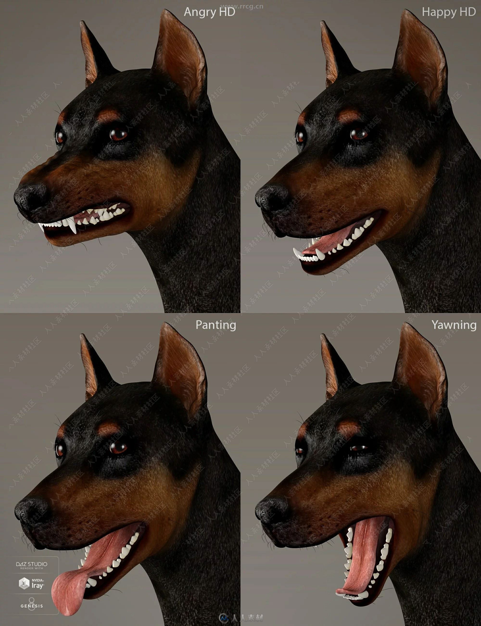 Daz Dog 8狗犬类动物3D模型合集