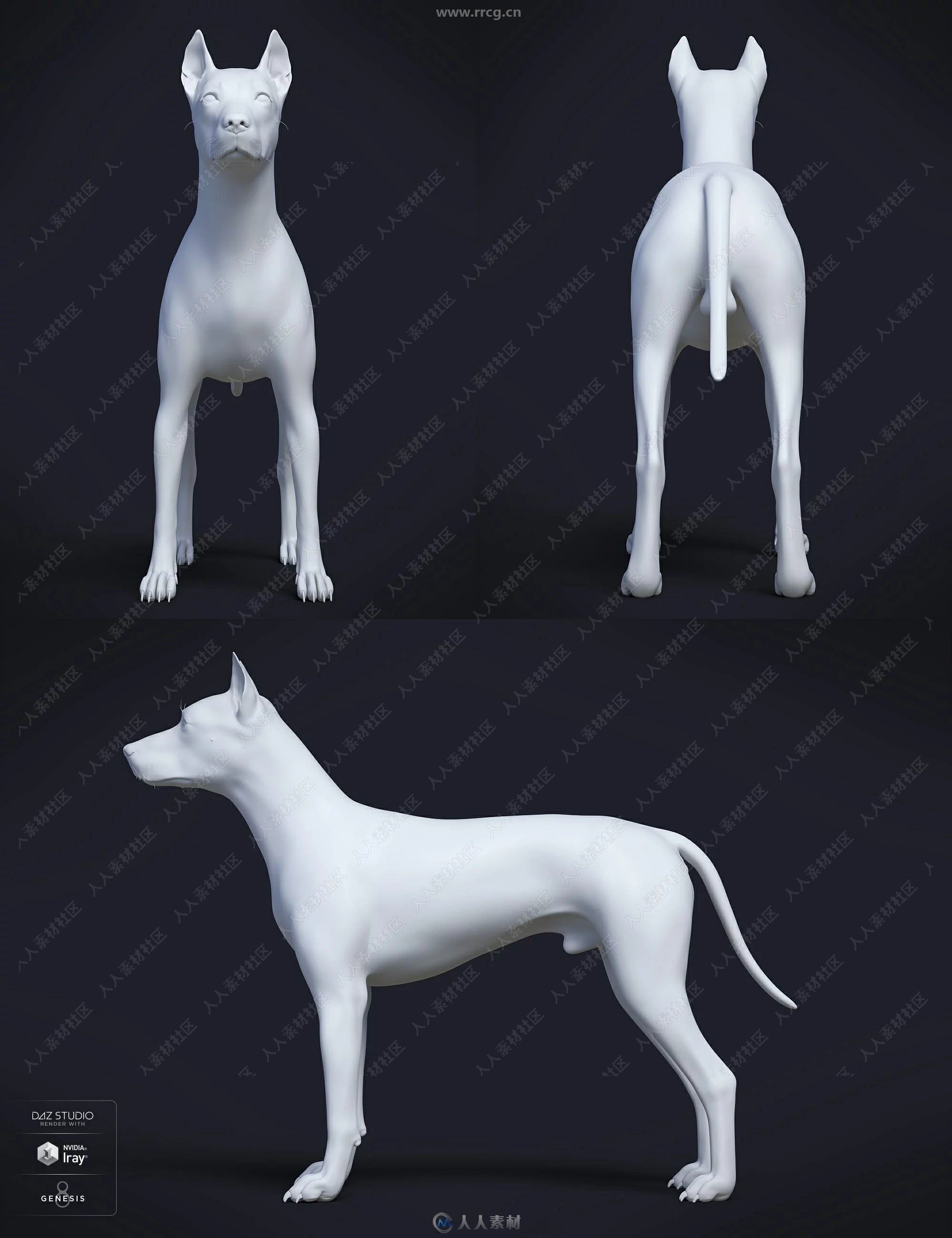 Daz Dog 8狗犬类动物3D模型合集