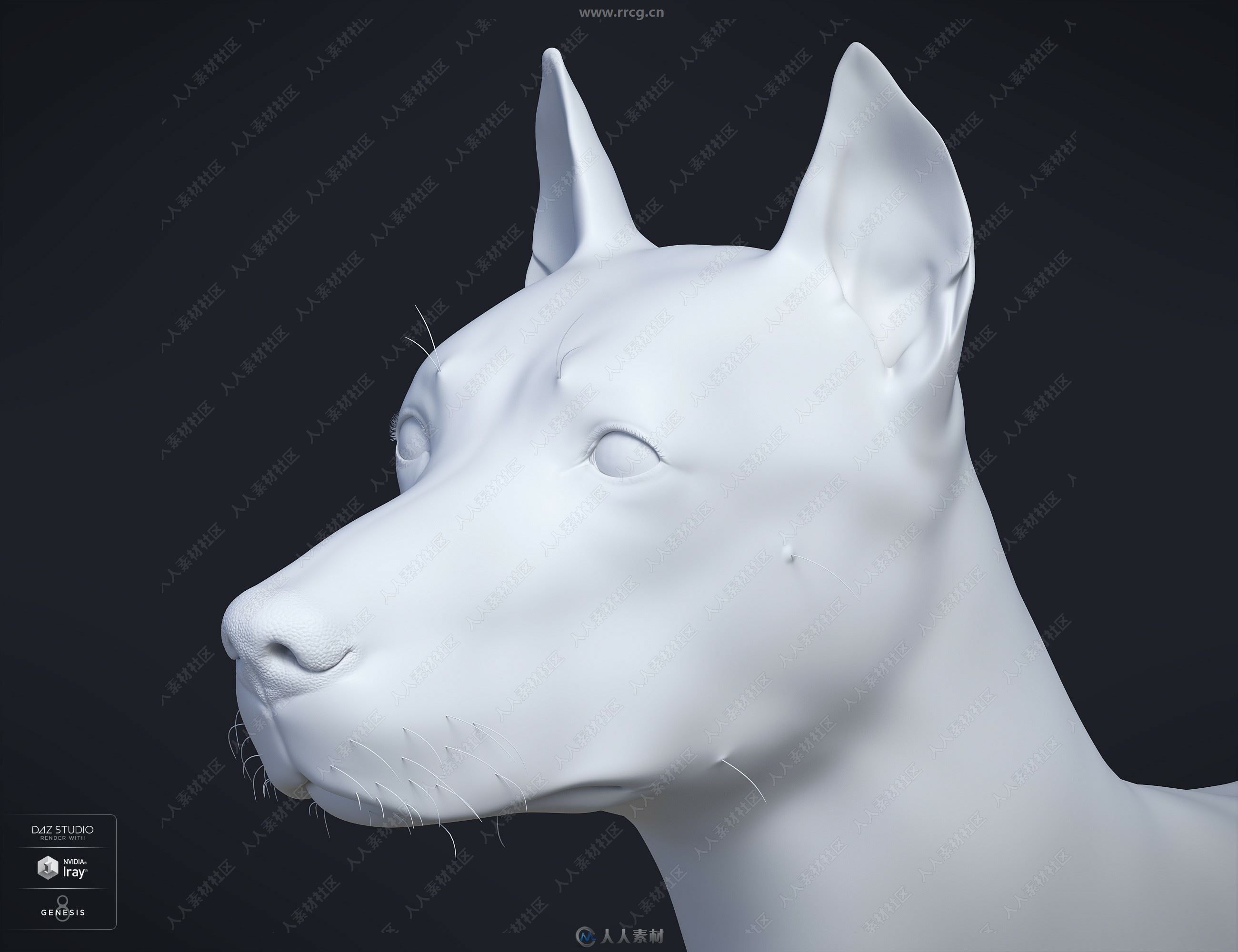 Daz Dog 8狗犬类动物3D模型合集