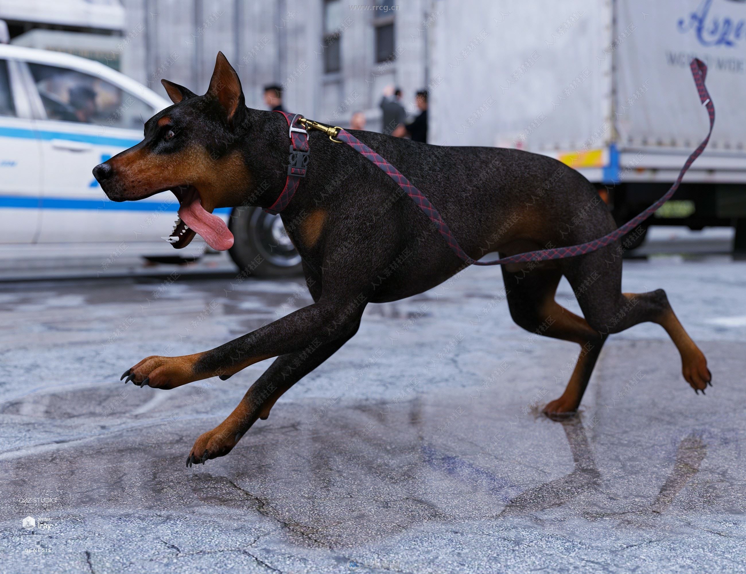 Daz Dog 8狗犬类动物3D模型合集