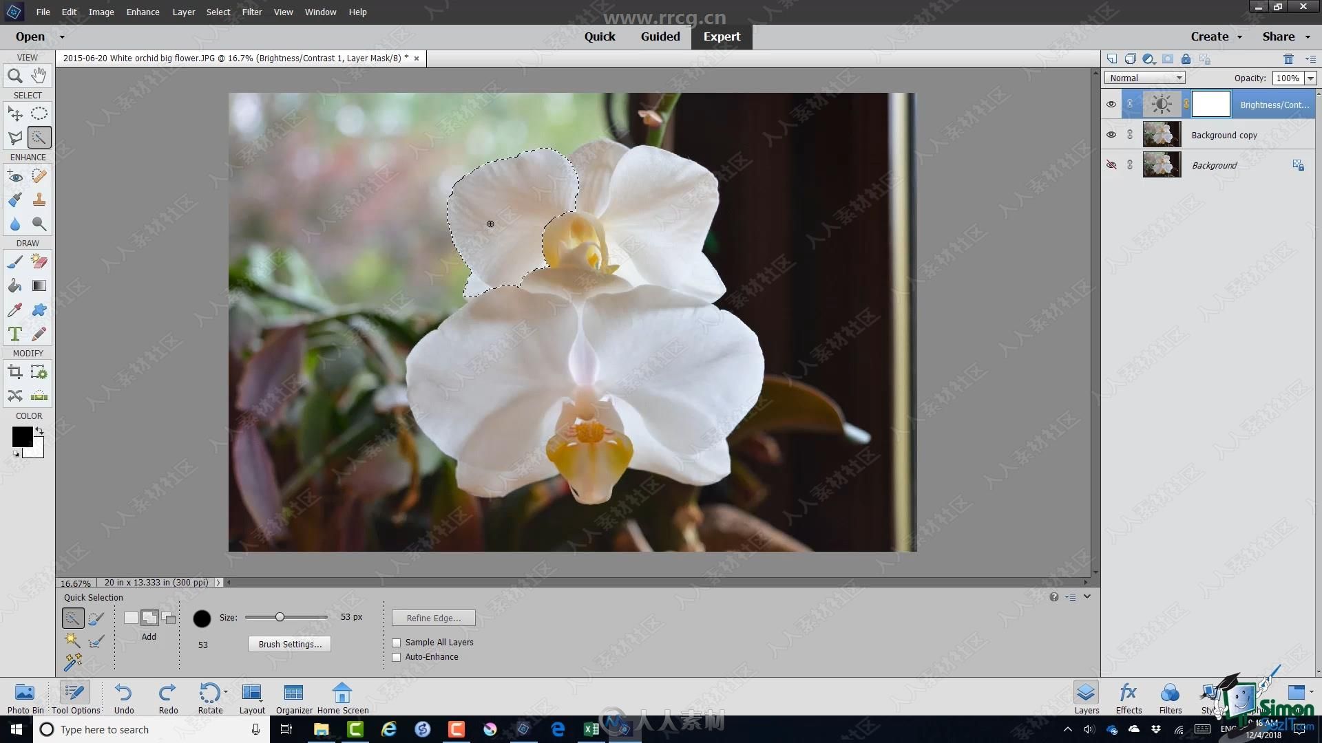 Photoshop Elements 2019基础核心技能训练视频教程
