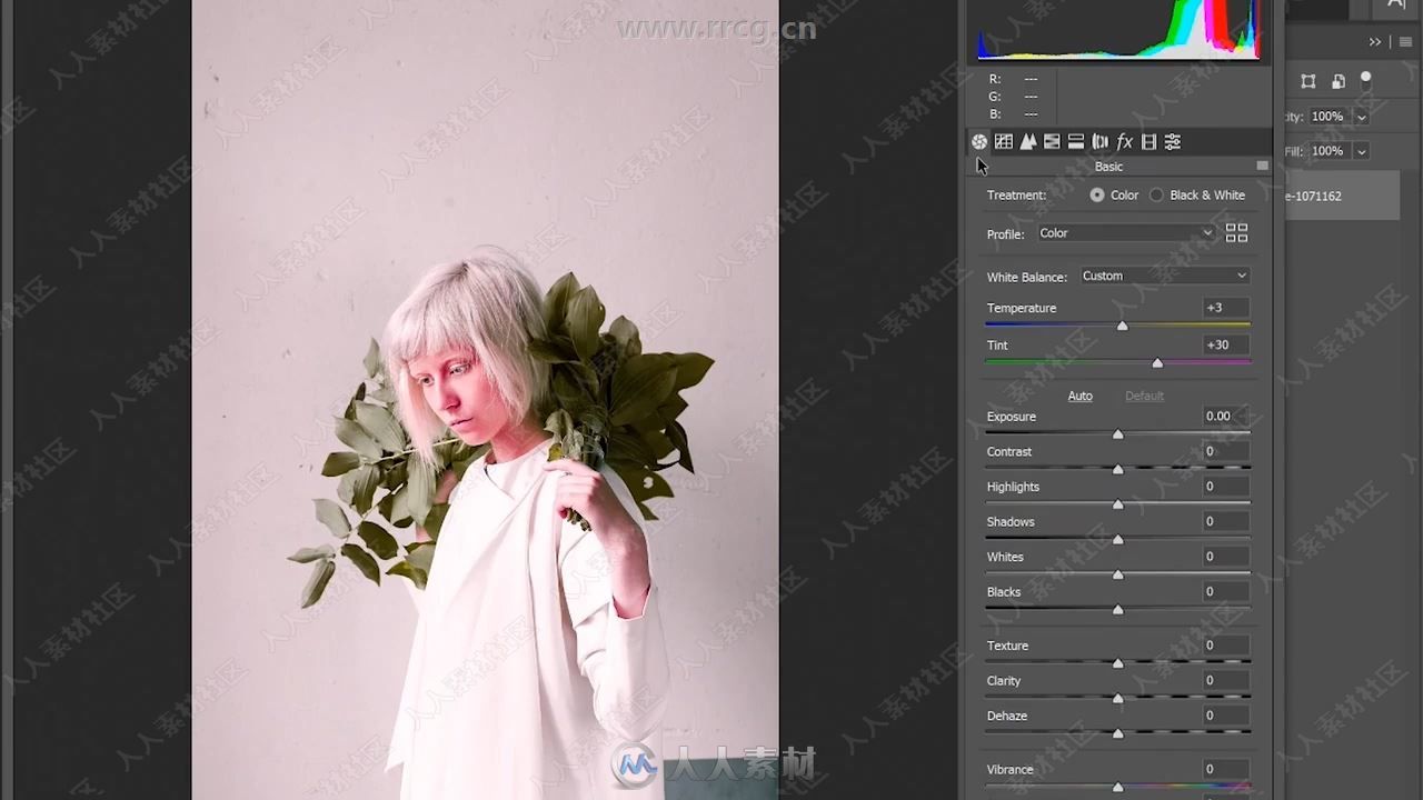 Photoshop中3D功能艺术创作视频教程