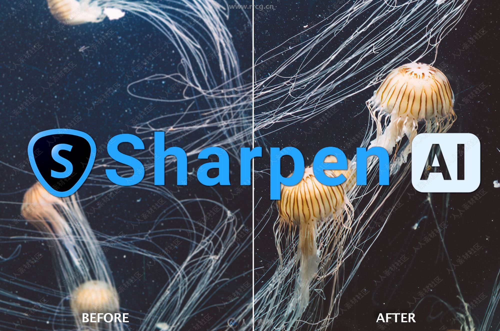 Topaz Labs Sharpen AI人工智能锐化软件V1.4.0版