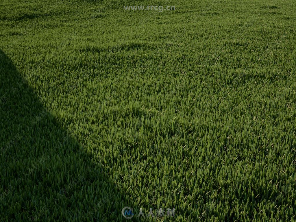 Happy Digital AutoGrass逼真草地3dsmax插件V1.5版