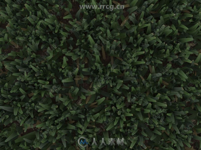 Happy Digital AutoGrass逼真草地3dsmax插件V1.5版