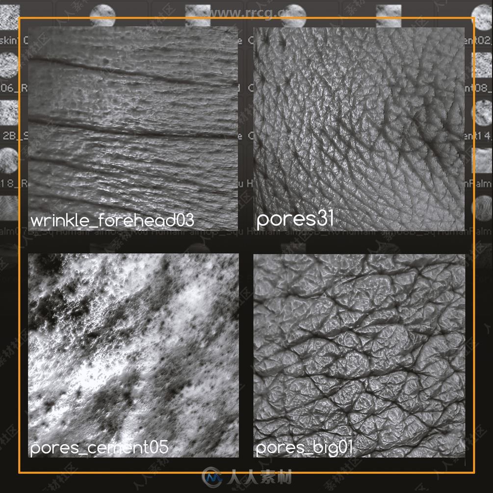 200组高品质人类皮肤Zbursh纹理合集