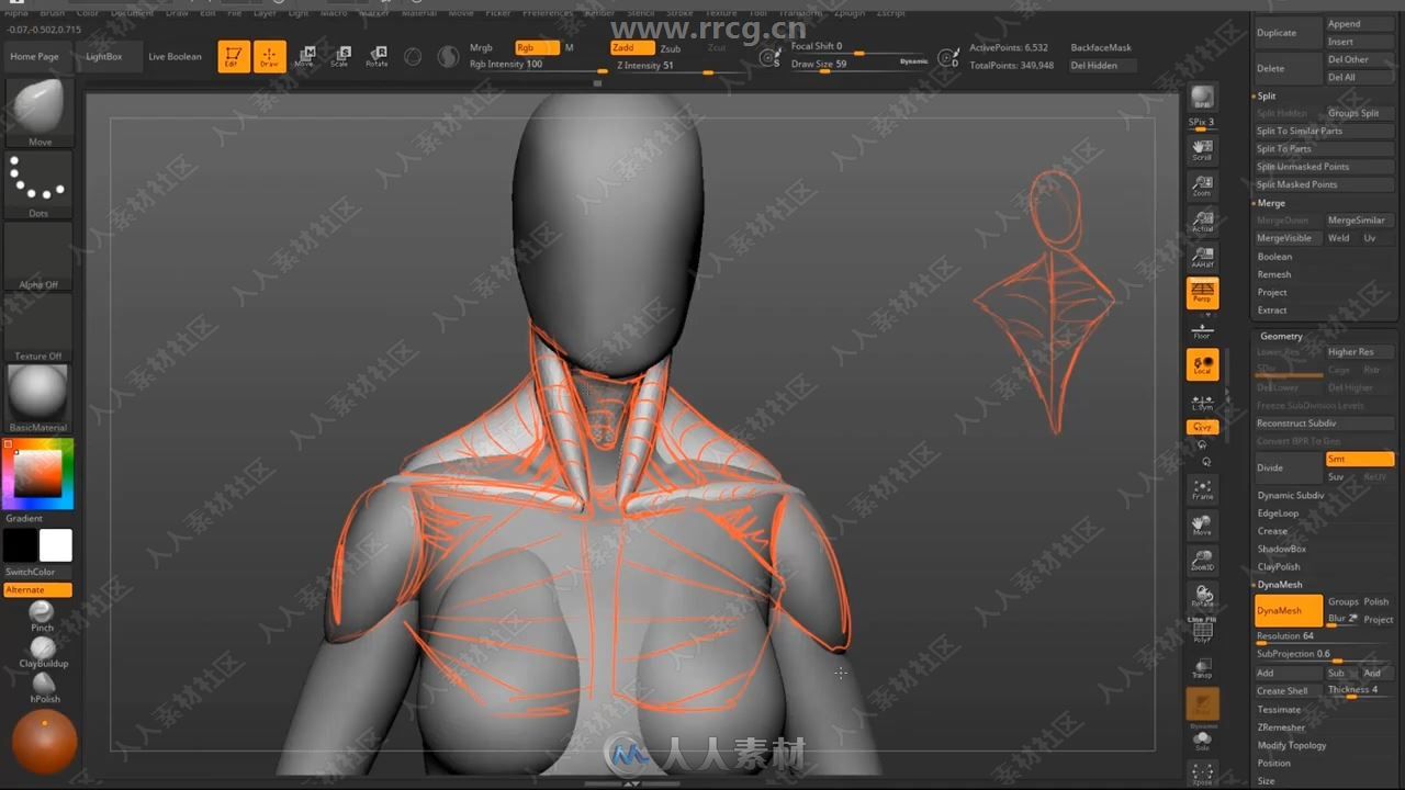 ZBrush女性身体解剖学建模技术视频教程