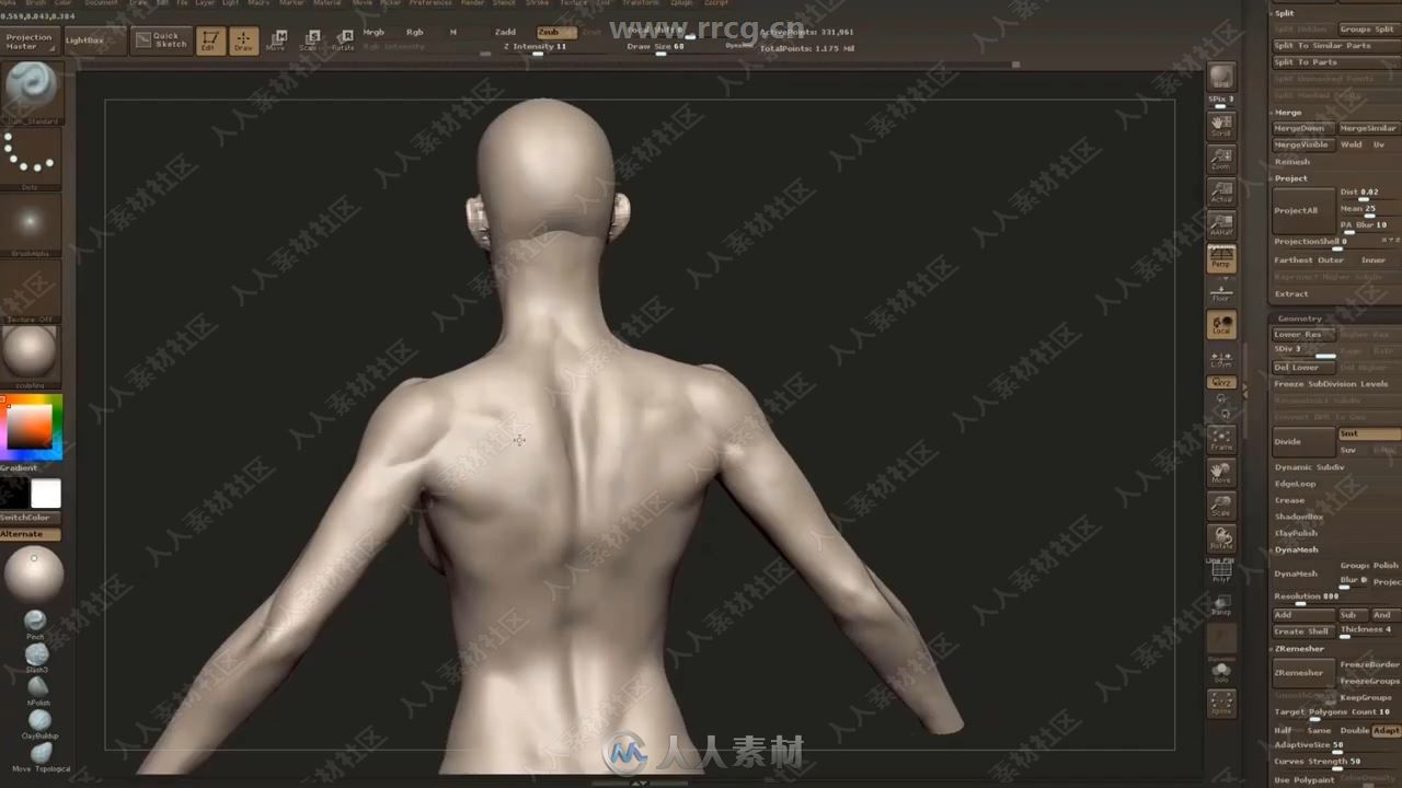 ZBrush女性身体解剖学建模技术视频教程