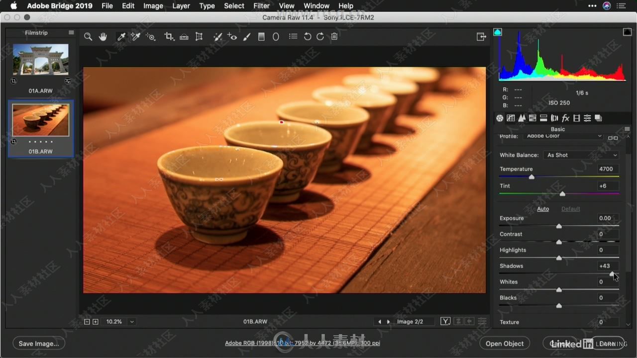 Camera Raw摄影后期照片编辑技术视频教程