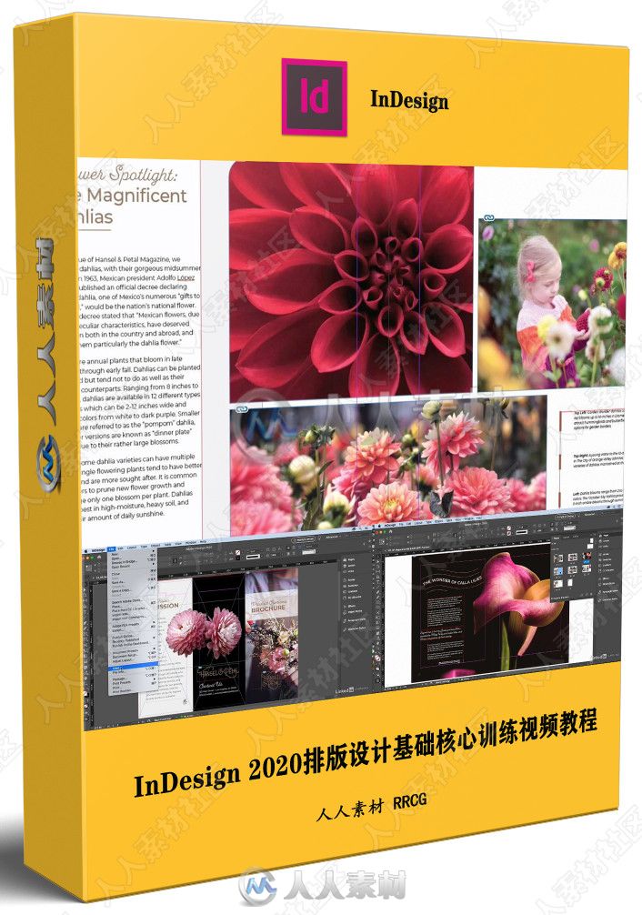 InDesign 2020排版设计基础核心训练视频教程