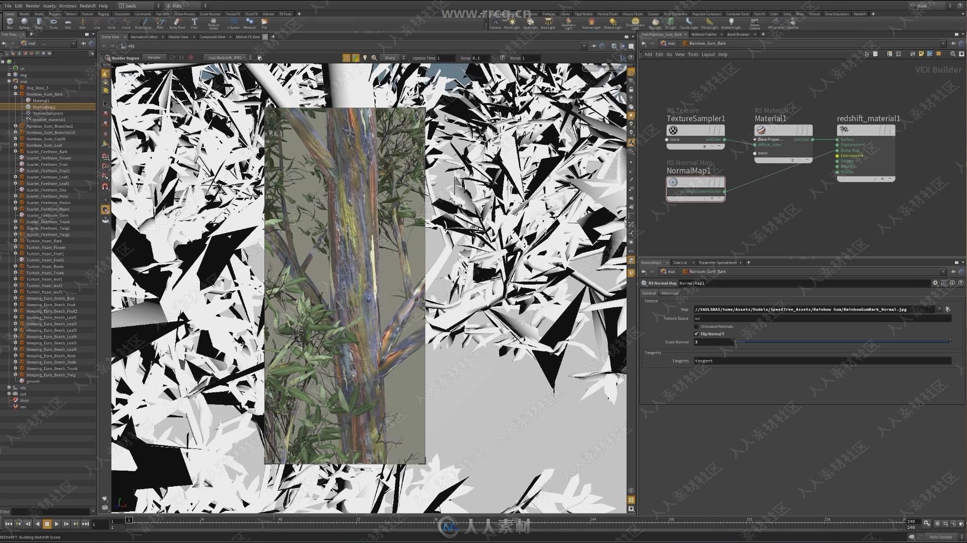 Houdini与Redshift树木制作与渲染技术视频教程