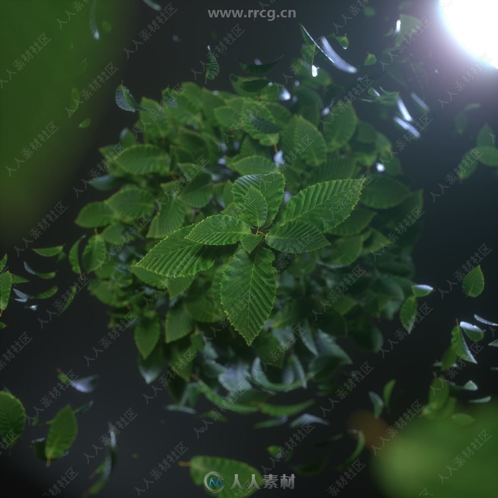 C4D中Octane逼真树叶植物4K纹理渲染着色器合集