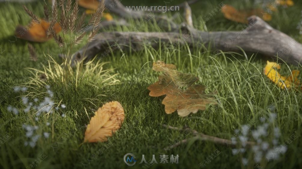 C4D中Octane逼真树叶植物4K纹理渲染着色器合集