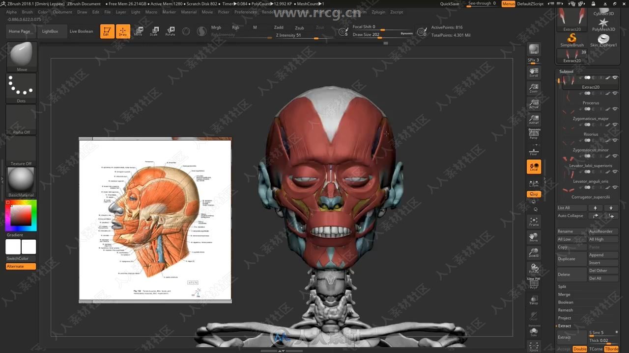 ZBrush人物面部人脸造型雕刻大师级视频教程