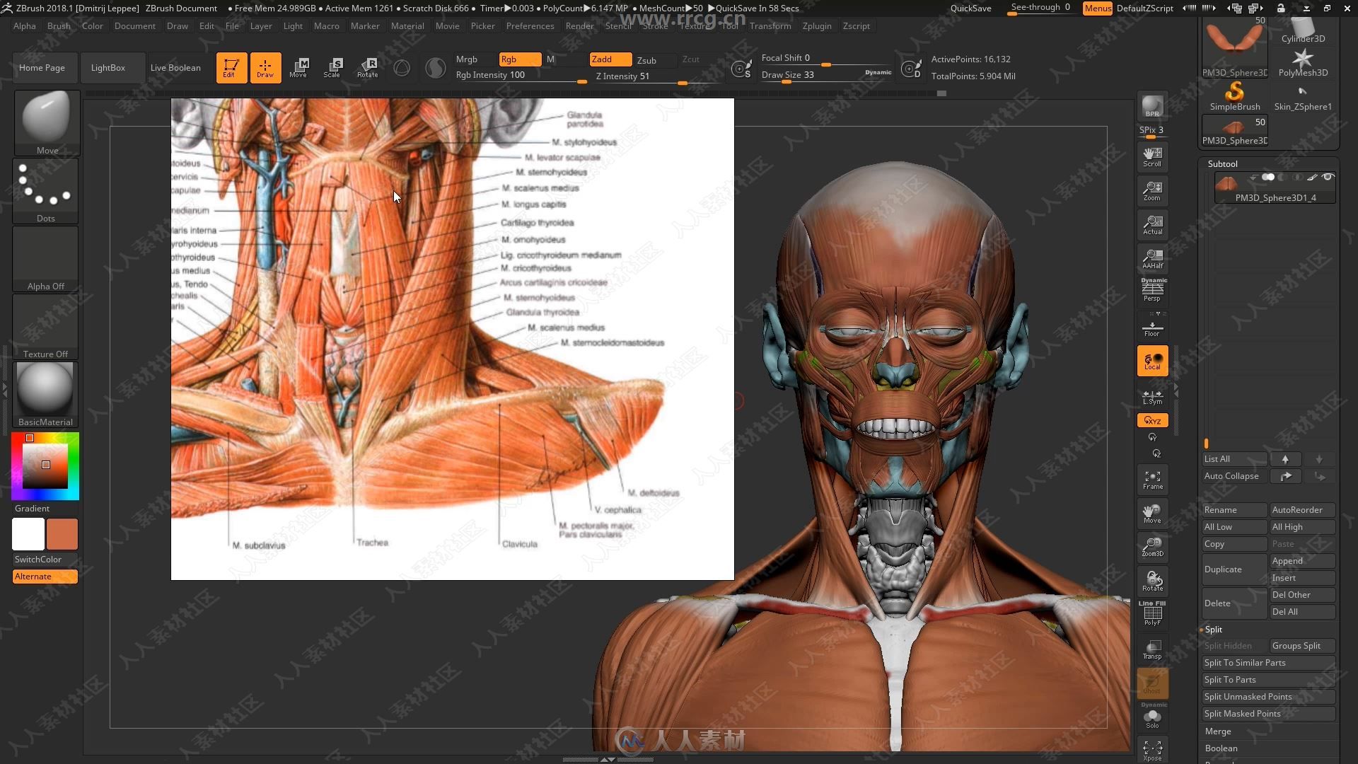 ZBrush人物面部人脸造型雕刻大师级视频教程