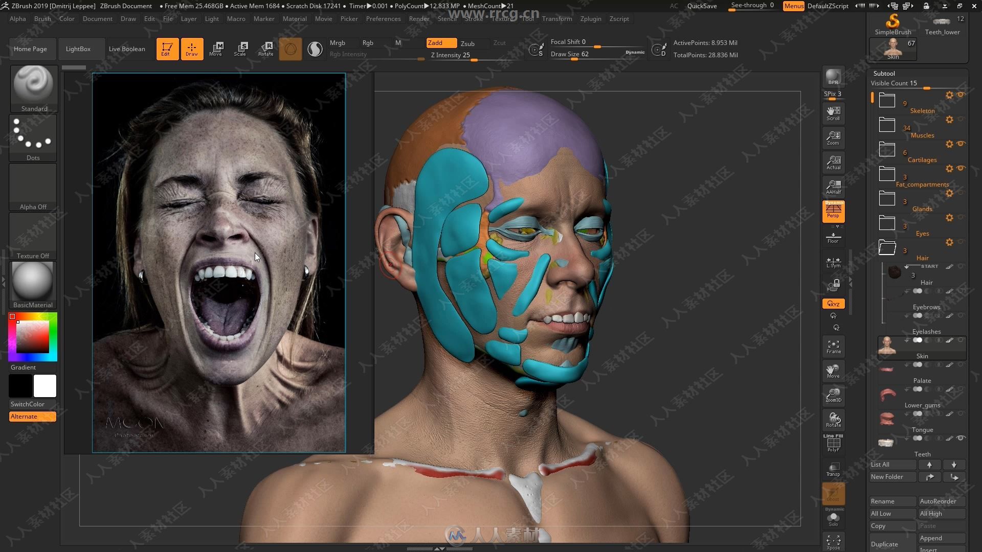 ZBrush人物面部人脸造型雕刻大师级视频教程