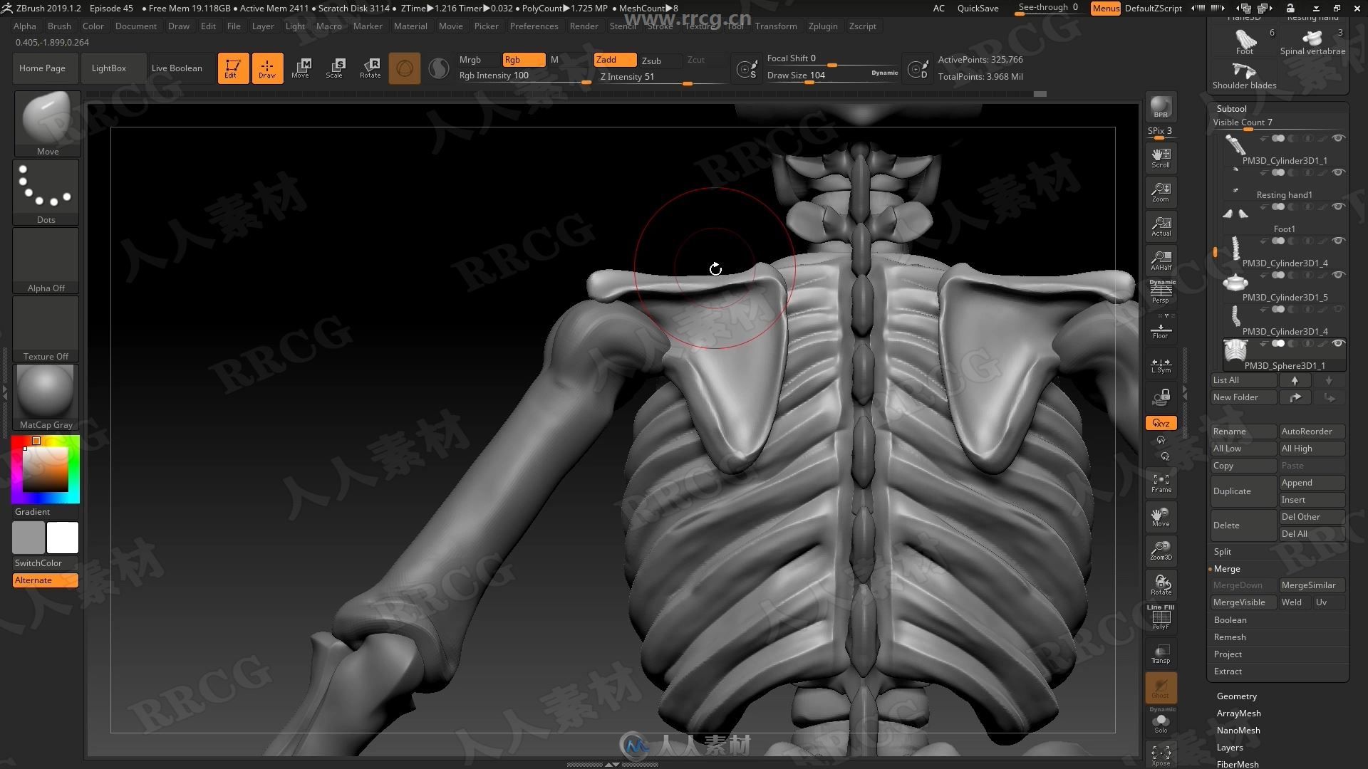 ZBrus人体骨骼雕刻3D打印技术训练视频教程