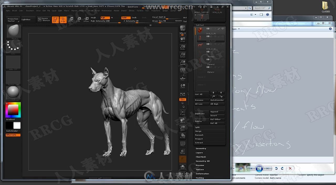 Zbrush动物雕刻结构剖析核心训练视频教程