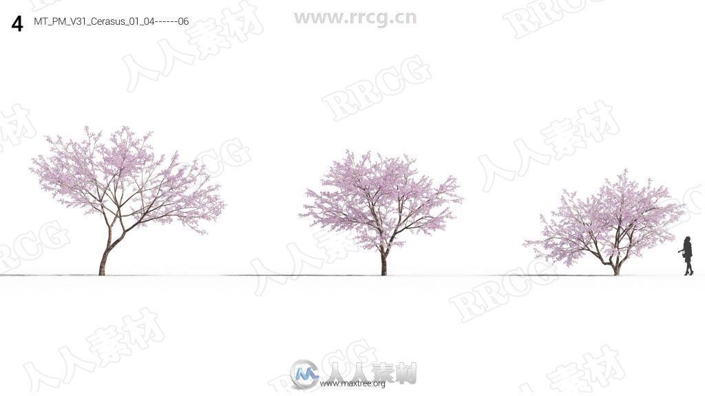 12组高精度樱花桃花丁香花等花树3D模型合集