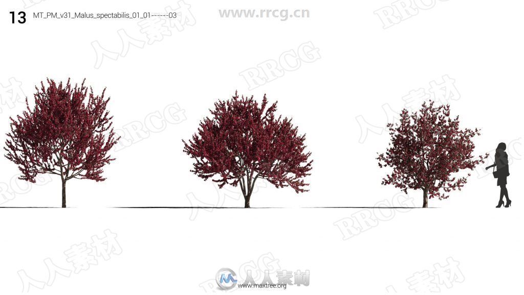 12组高精度樱花桃花丁香花等花树3D模型合集