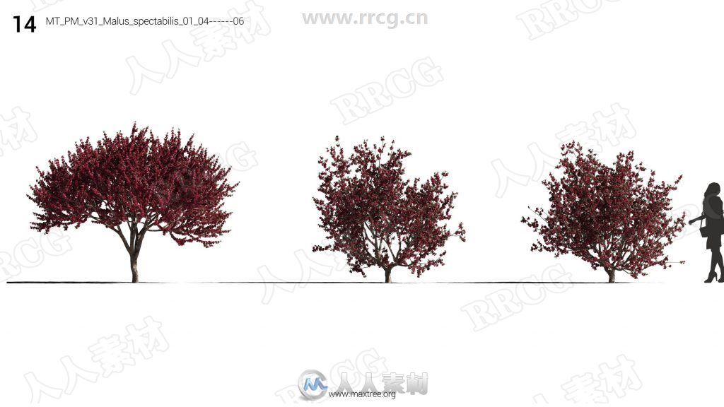 12组高精度樱花桃花丁香花等花树3D模型合集