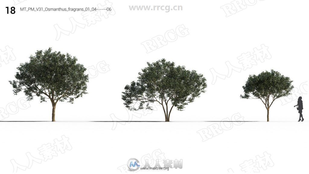 12组高精度樱花桃花丁香花等花树3D模型合集