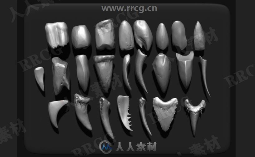 24组Zbrush牙齿雕刻3D模型与笔刷合集