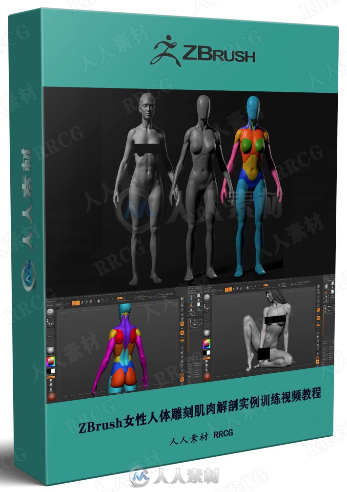 ZBrush女性人体雕刻肌肉解剖实例训练视频教程