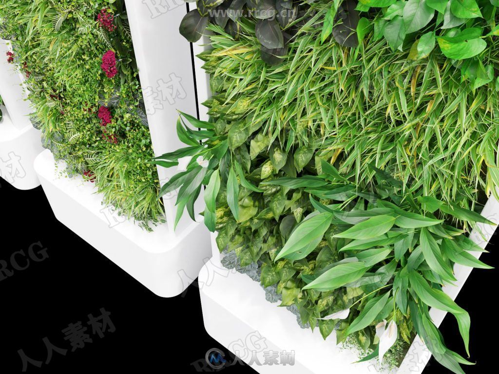 40组高精度室内垂直装饰陈设植物植被绿植3D模型合集