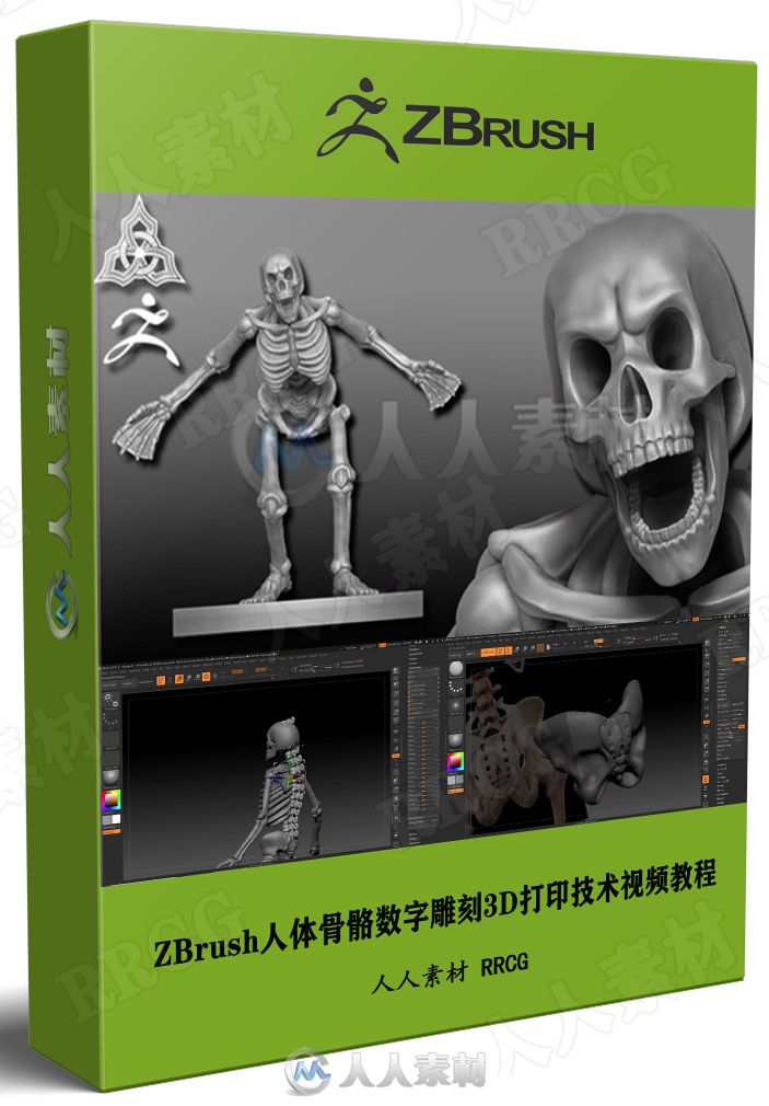 ZBrush人体骨骼数字雕刻3D打印技术视频教程