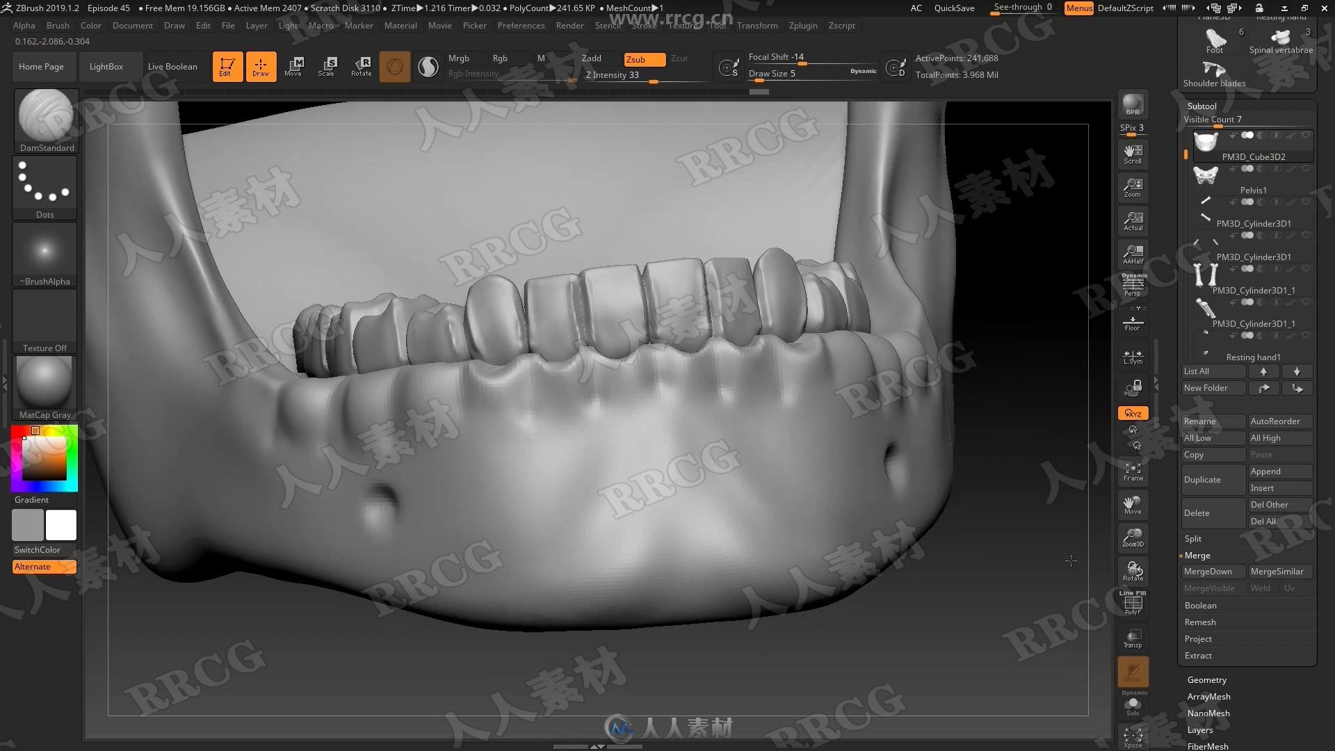 ZBrush人体骨骼数字雕刻3D打印技术视频教程