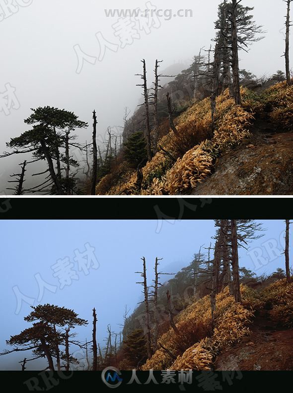 电影胶片外观照片后期调色艺术LR预设合集