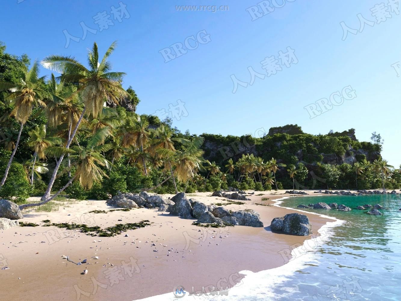 超唯美热带沙滩植物海滩海水场景3D模型63 / 作者:抱着猫的老鼠 / 帖子ID:16762733,6568929