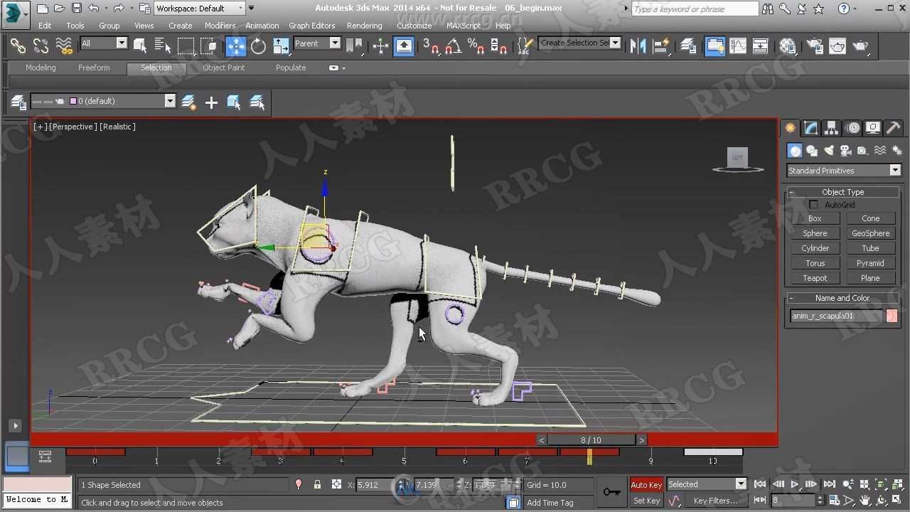 3dsMax四足动物动画高效技术制作视频教程