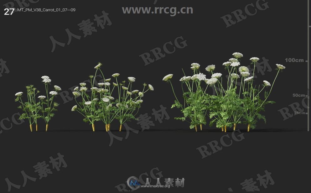 252组高精度蔬菜植物3D模型合集