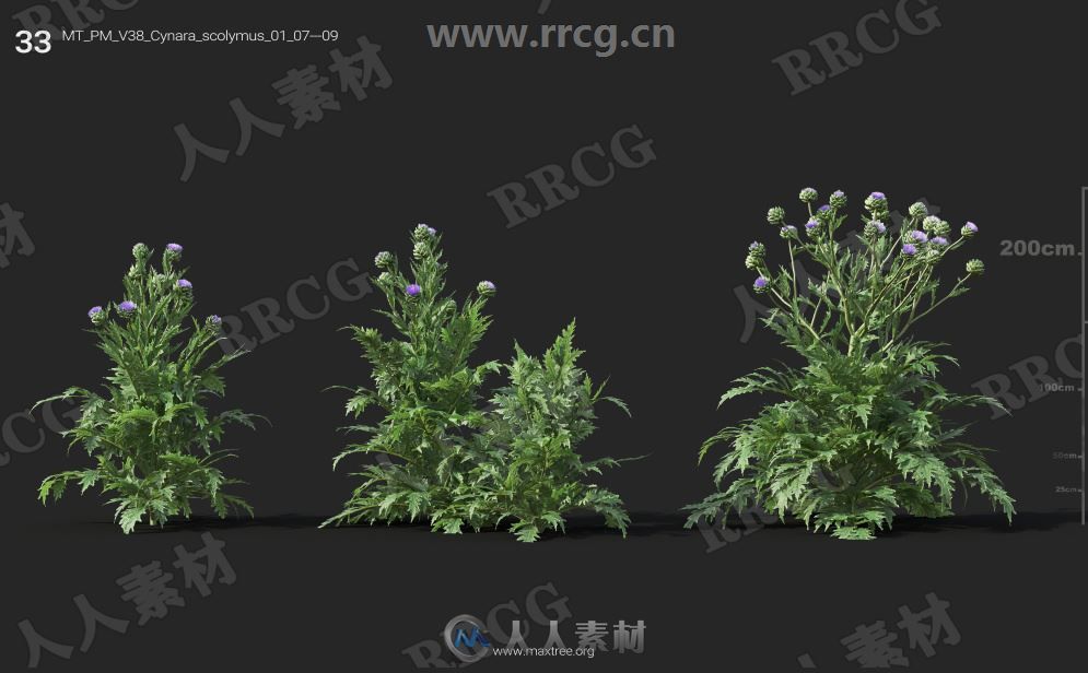 252组高精度蔬菜植物3D模型合集